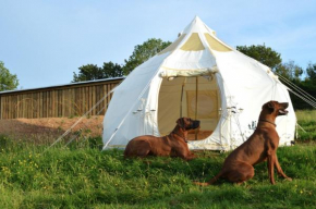 Glamping Stargazer Bell Tent - Heydaze